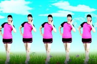 网红减肥广场舞背面教学,背面教学，轻松塑形新潮流