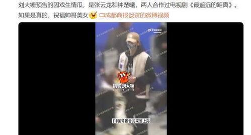 刘大锤今日爆料直播,今日热点事件深度剖析